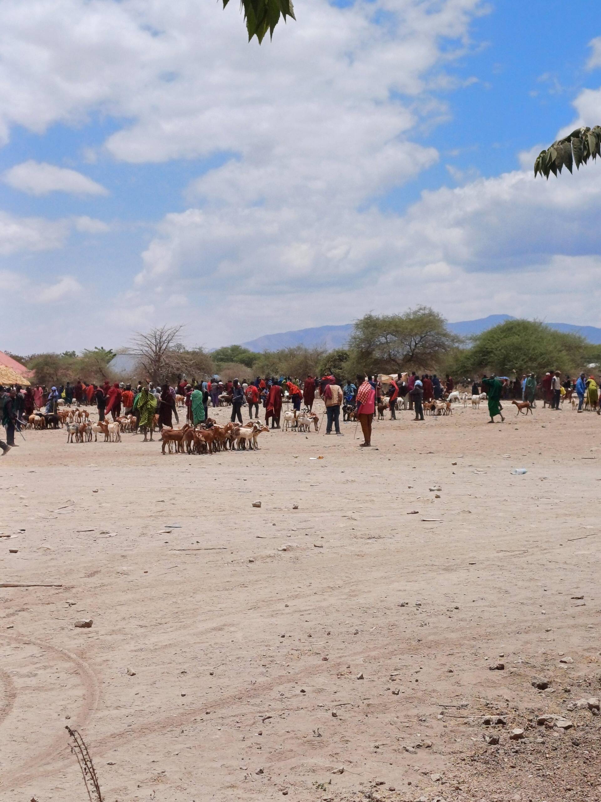 WhatsApp Image 2025-04-17 at 20.06.38