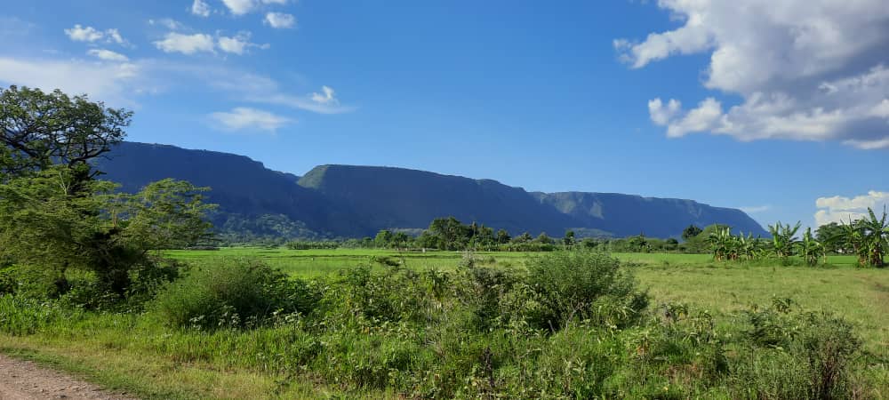 rift valley