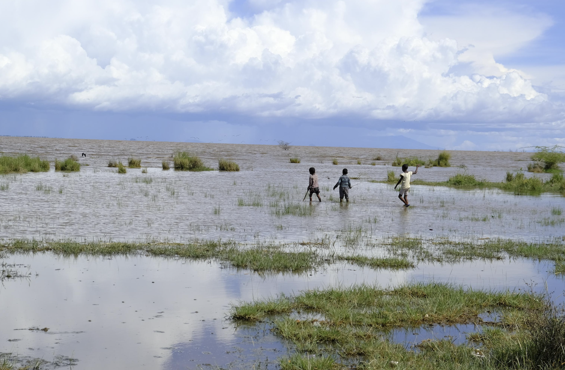 Screenshot 2025-05-01 at 11.48.08