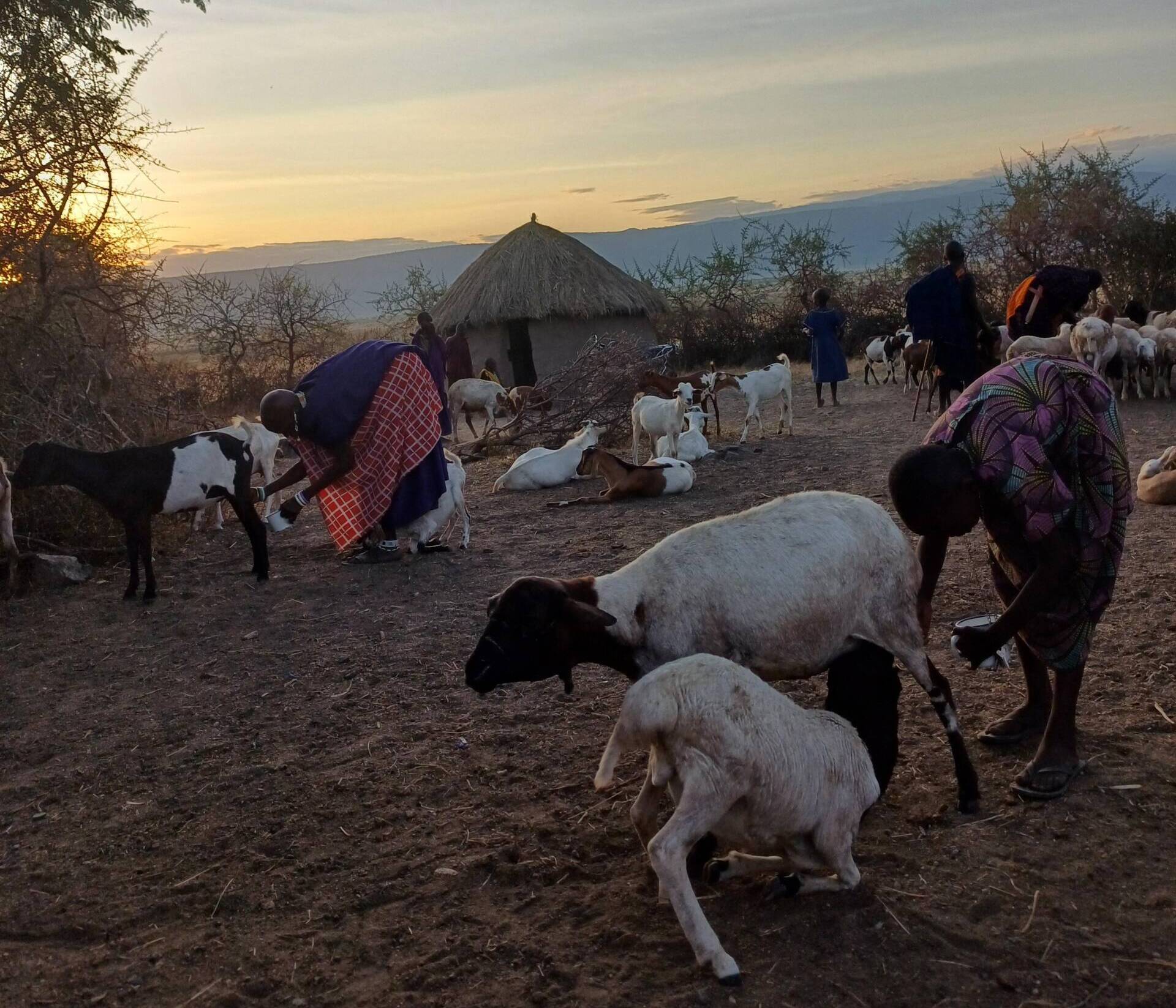 WhatsApp Image 2025-05-01 at 11.20.47