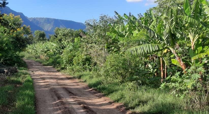 WhatsApp Image 2025-05-16 at 13.42.22