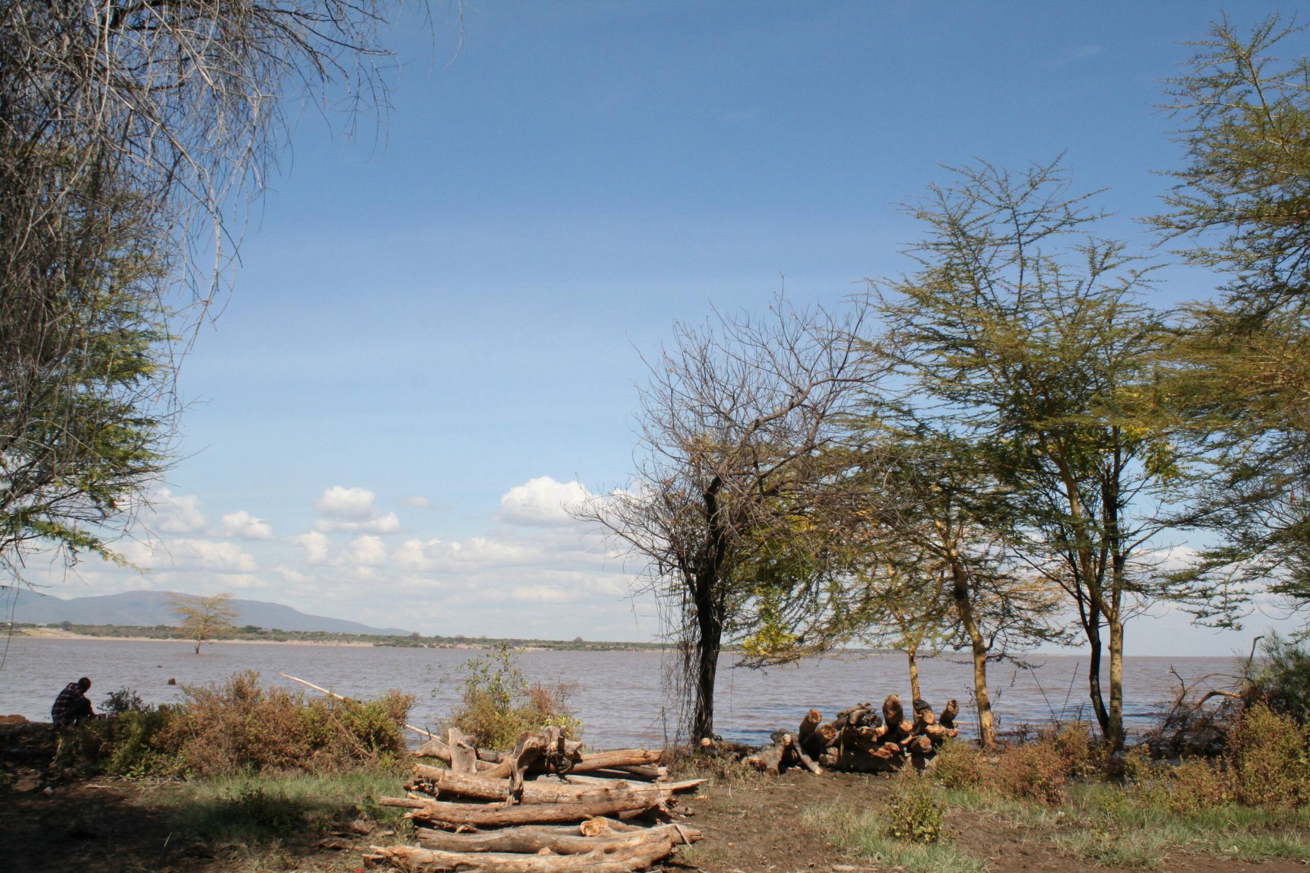 WhatsApp Image 2025-05-16 at 13.44.48