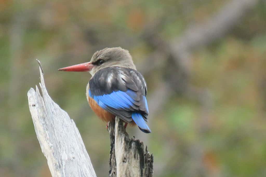 IMG-20251015-WA0117 (1)