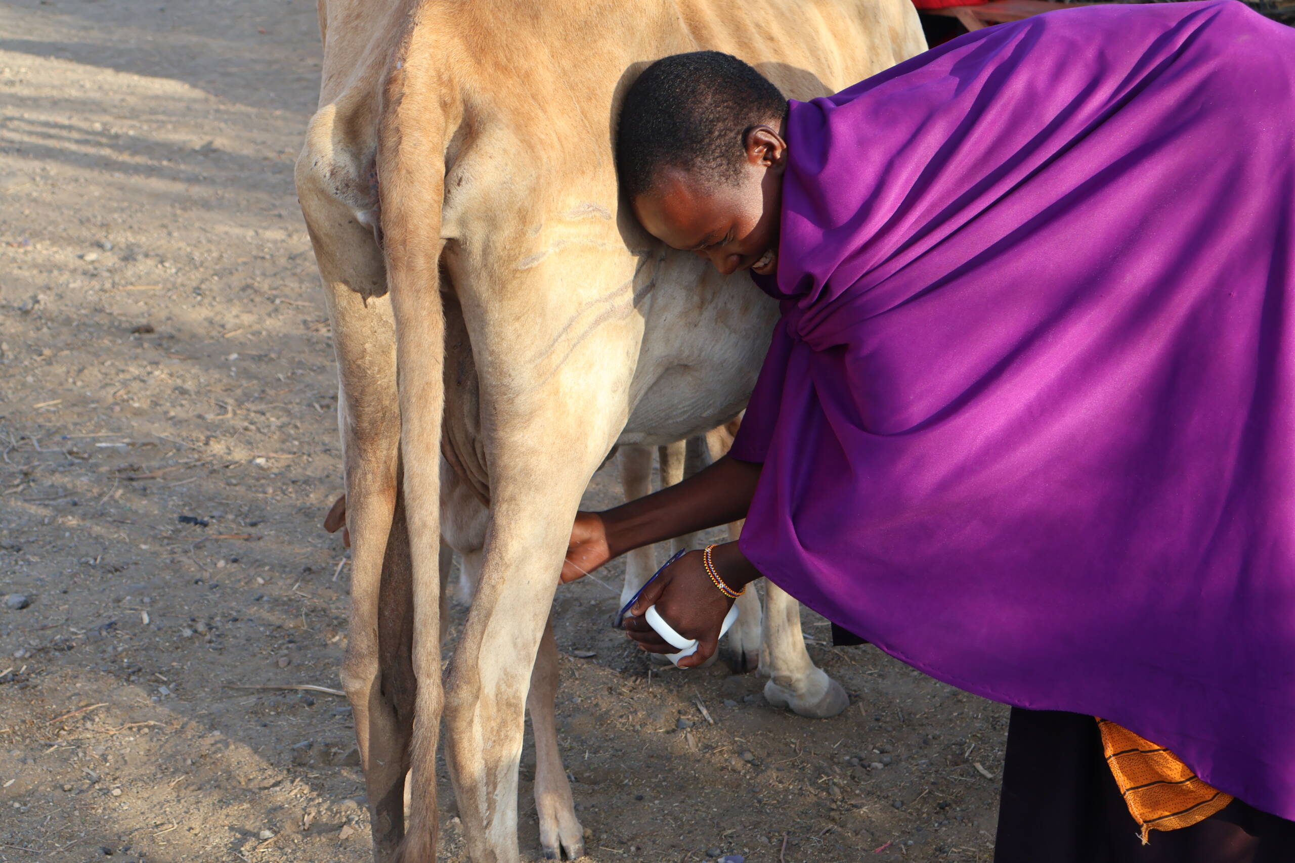 maasai beading
